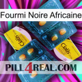 African Black Ant cialis5